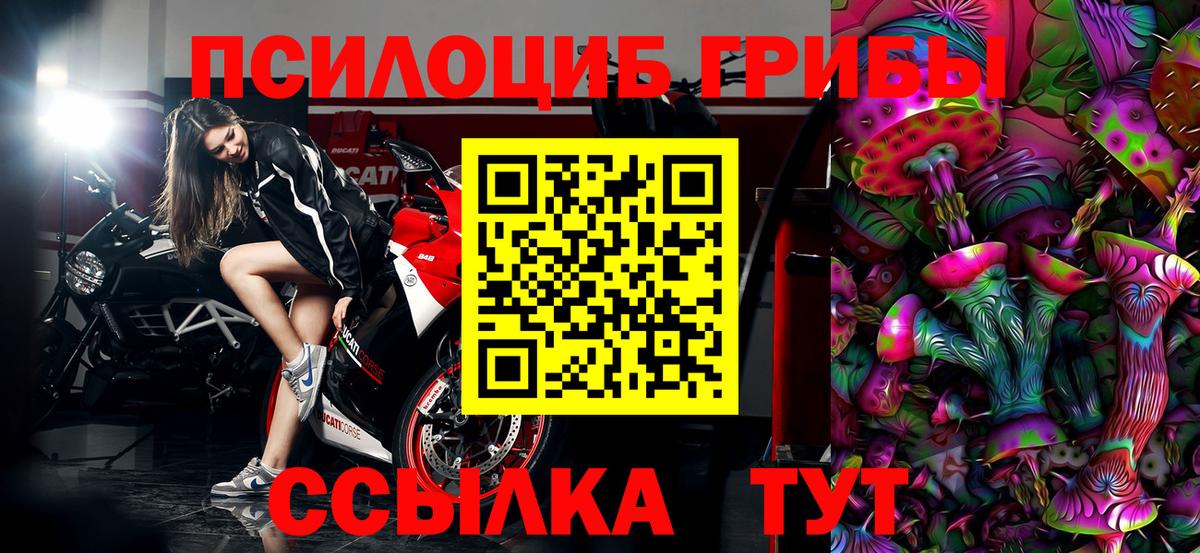 Сланцы  Галлюциногенные грибы Magic Shrooms  Вход с VPN  Галлюциногенные грибы мицелий 
