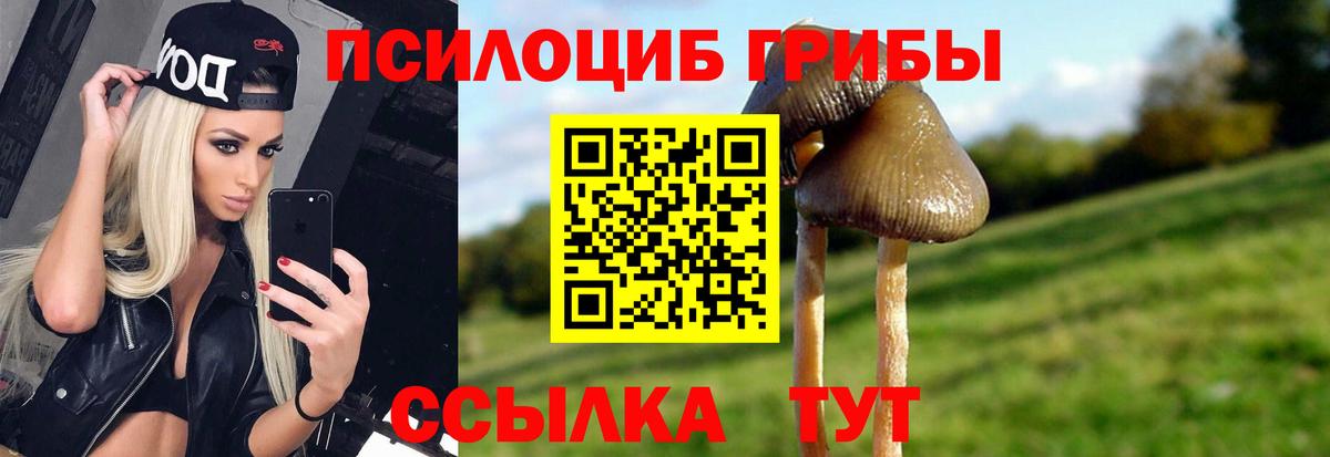 Псилоцибиновые грибы Psilocybine cubensis Сланцы